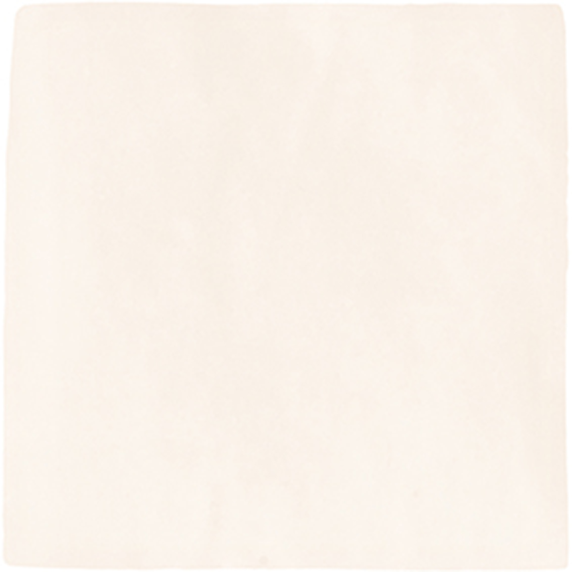 Raw Silk